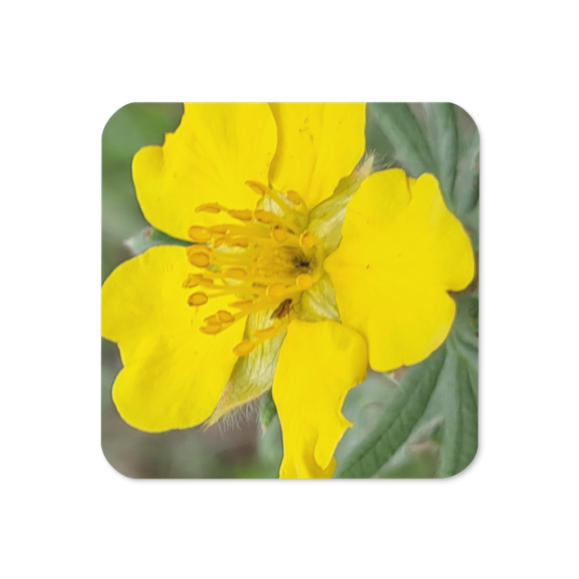 Coaster yellow