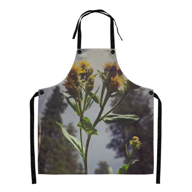 Apron sunflower