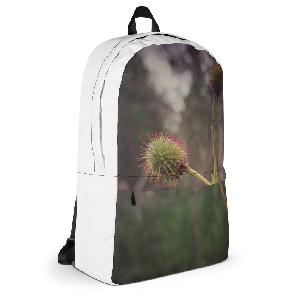 Backpack 1