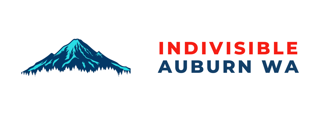 Indivisible Auburn Wa hero banner